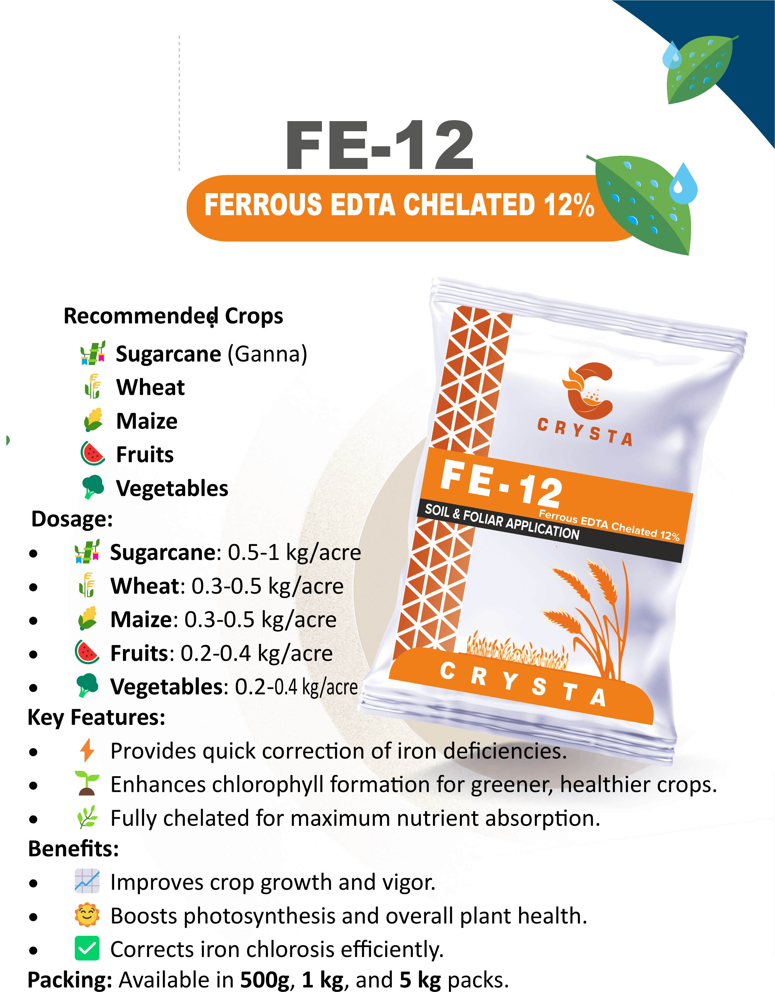 FE 12