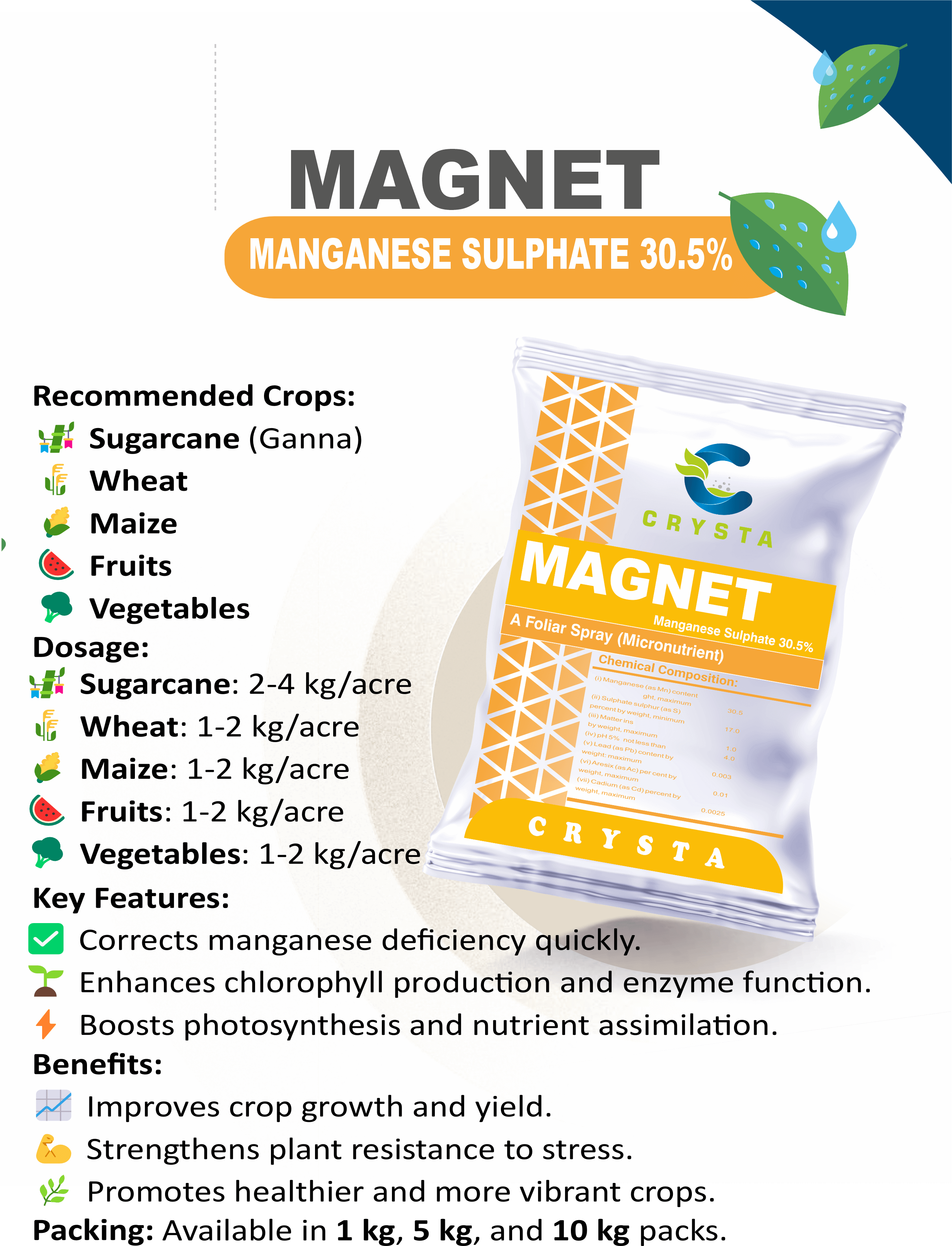 MAGNET