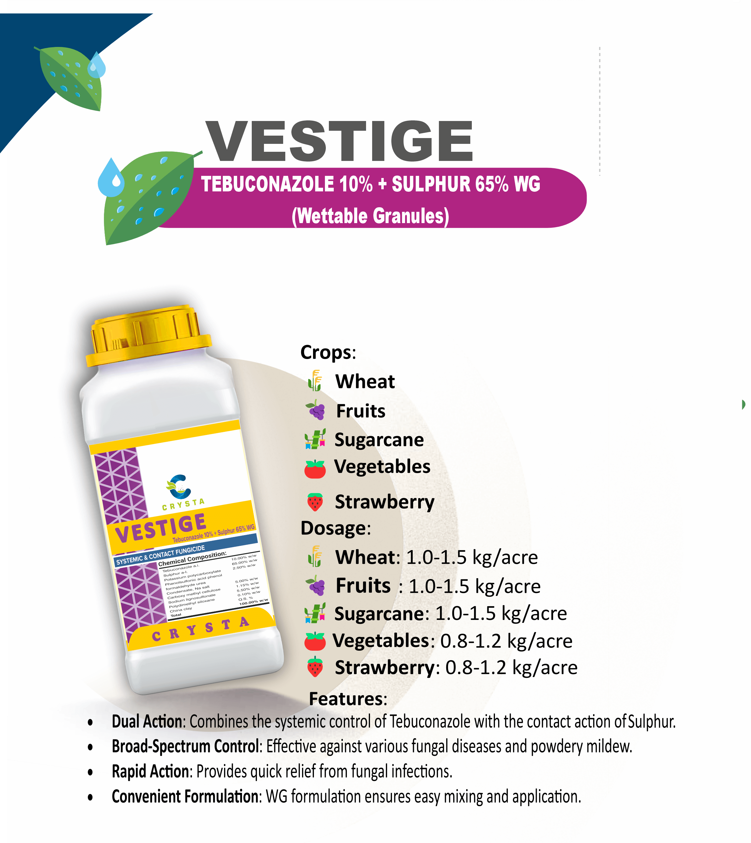 VESTIGE
