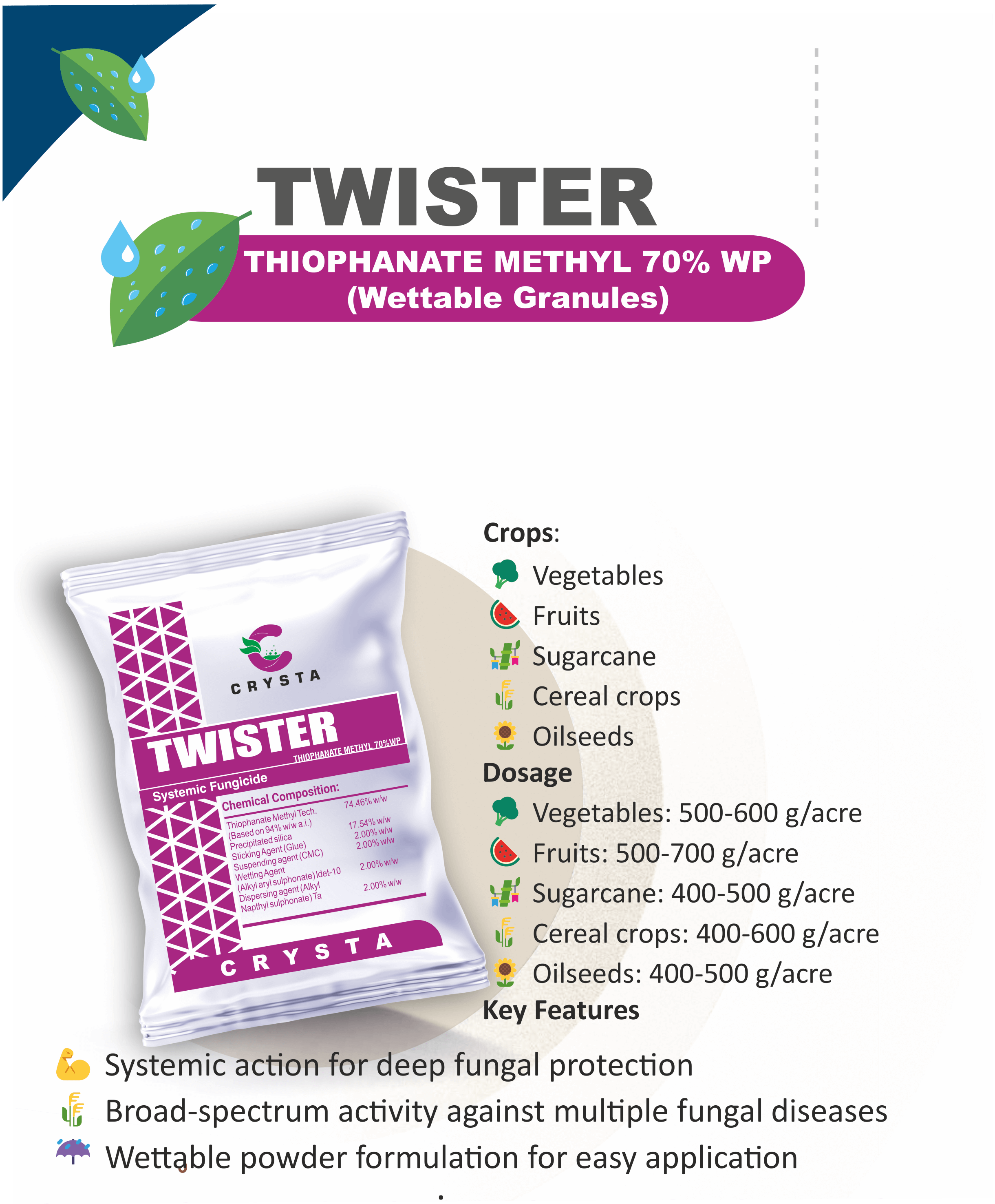 TWISTER