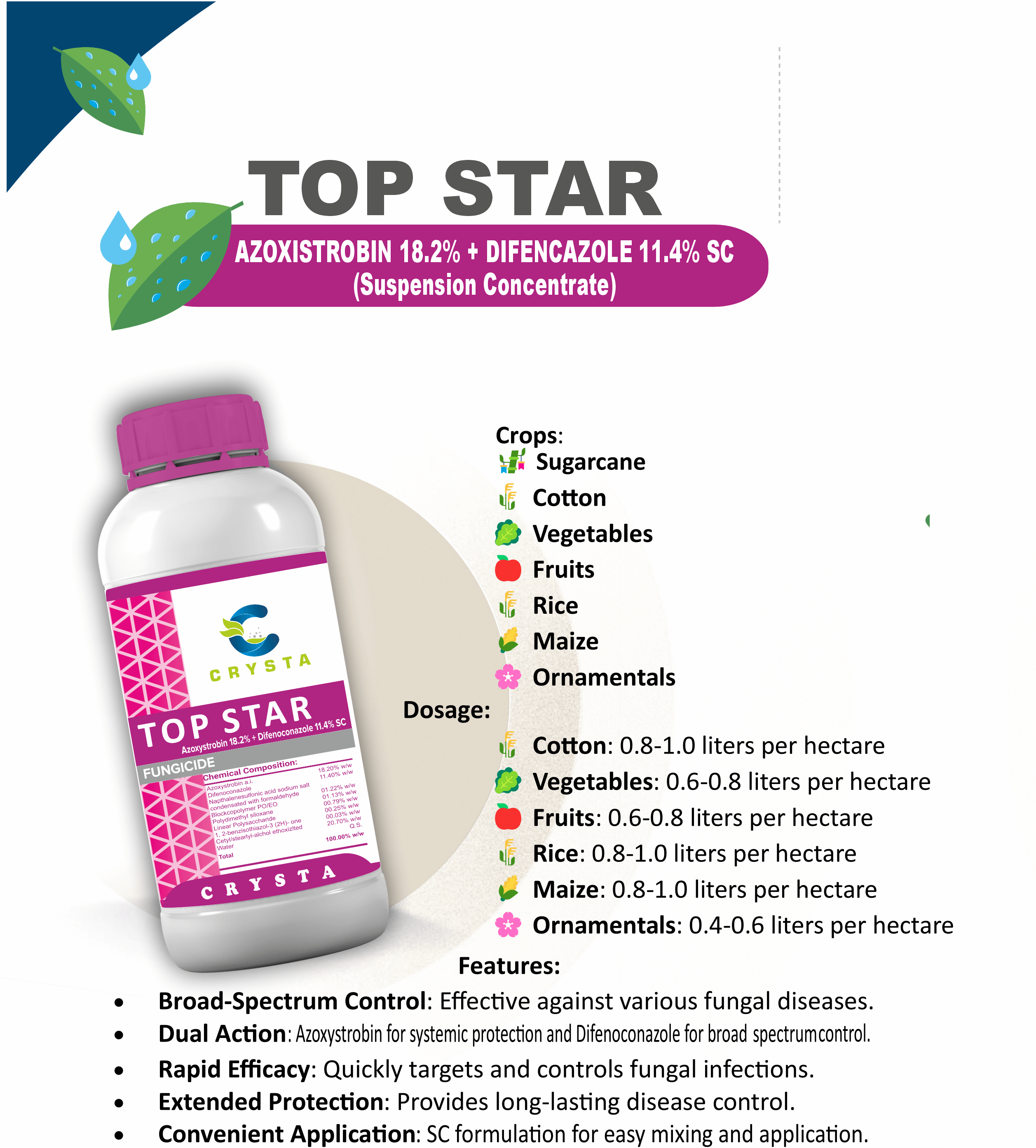 Top Star